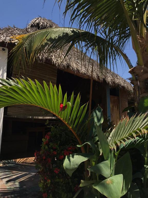Condominio Agave Del Mar Coyuca de Benitez Eksteriør bilde