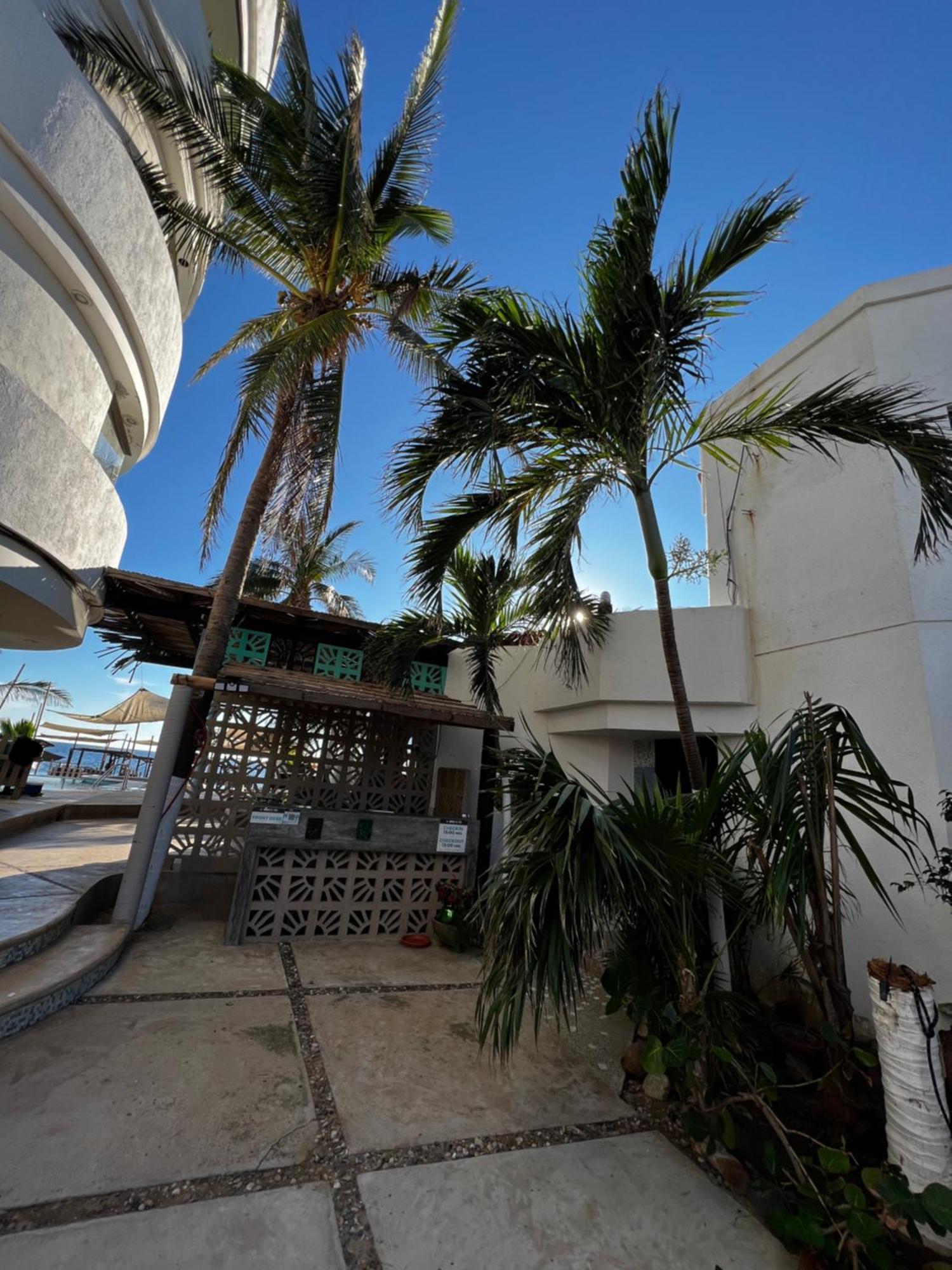 Condominio Agave Del Mar Coyuca de Benitez Eksteriør bilde